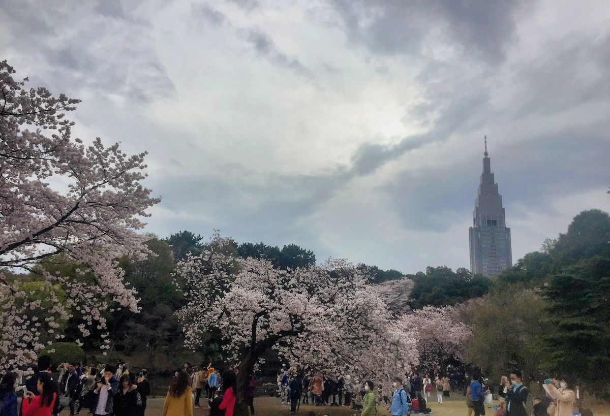 The Perfect Day in Shinjuku, Tokyo